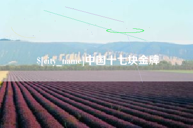 玉溪中国十七块金牌