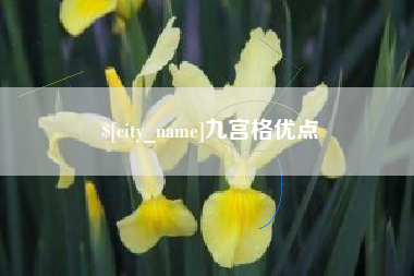 玉溪九宫格优点