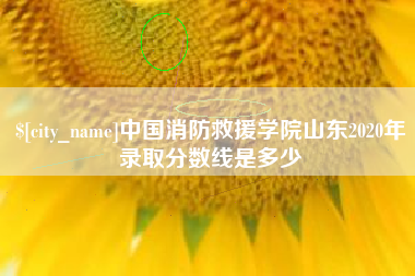 玉溪中国消防救援学院山东2020年录取分数线是多少