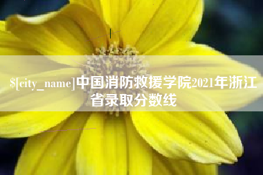 玉溪中国消防救援学院2021年浙江省录取分数线