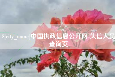 玉溪中国执政信息公开网-失信人员查询页