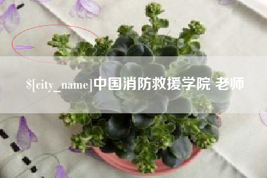 玉溪中国消防救援学院 老师