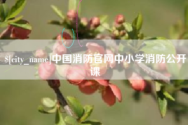 玉溪中国消防官网中小学消防公开课