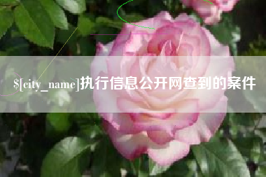 玉溪执行信息公开网查到的案件