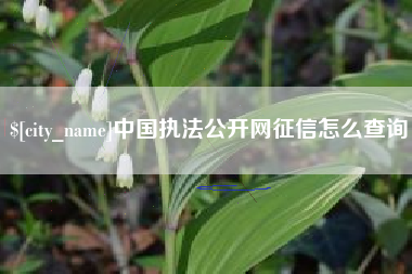 玉溪中国执法公开网征信怎么查询