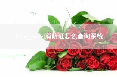 玉溪消防证怎么查询系统