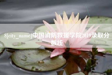 玉溪中国消防救援学院2019录取分数线
