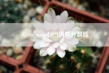 玉溪2021消防分数线