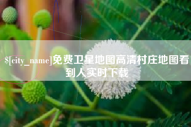 玉溪免费卫星地图高清村庄地图看到人实时下载