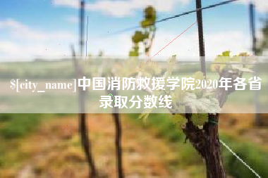 玉溪中国消防救援学院2020年各省录取分数线