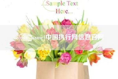 玉溪中国执行网信息官网