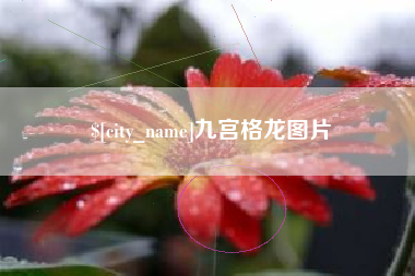 玉溪九宫格龙图片