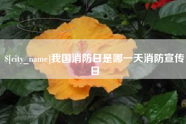 玉溪我国消防日是哪一天消防宣传日