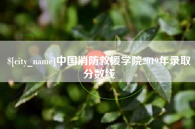 玉溪中国消防救援学院2019年录取分数线