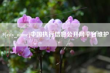 玉溪中国执行信息公开网平台维护