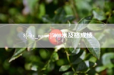 玉溪5000米及格成绩