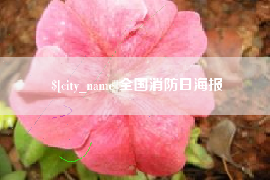 玉溪全国消防日海报