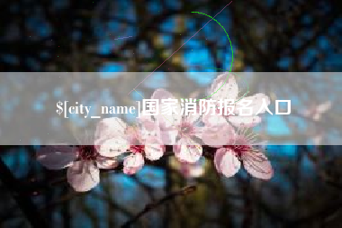 玉溪国家消防报名入口