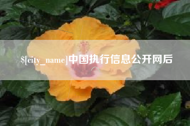 玉溪中国执行信息公开网后
