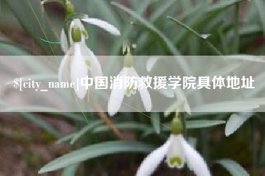 玉溪中国消防救援学院具体地址