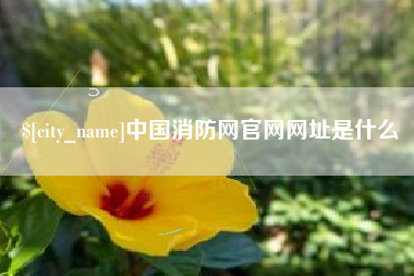 玉溪中国消防网官网网址是什么