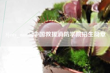 玉溪中国救援消防学院招生简章