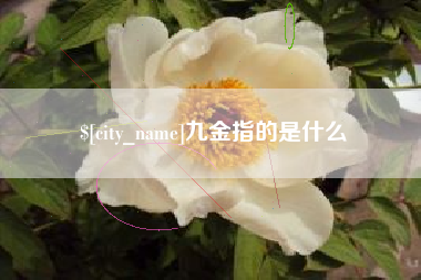 玉溪九金指的是什么