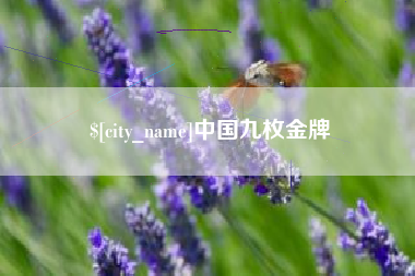 玉溪中国九枚金牌