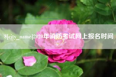 玉溪2020年消防考试网上报名时间