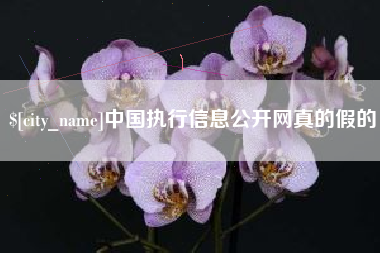 玉溪中国执行信息公开网真的假的