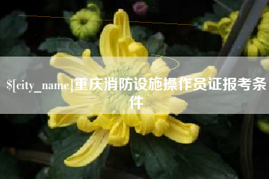 玉溪重庆消防设施操作员证报考条件
