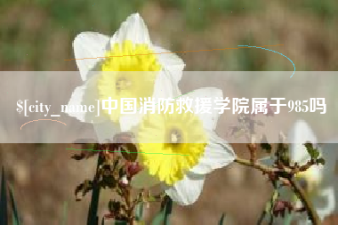 玉溪中国消防救援学院属于985吗