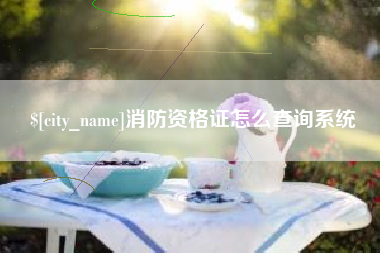 玉溪消防资格证怎么查询系统