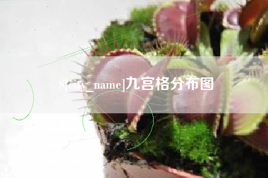 玉溪九宫格分布图