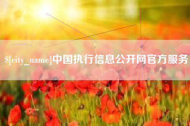 玉溪中国执行信息公开网官方服务