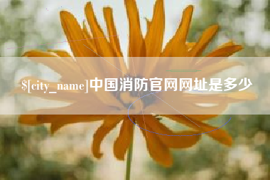 玉溪中国消防官网网址是多少