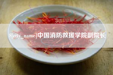 玉溪中国消防救援学院副院长