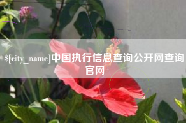 玉溪中国执行信息查询公开网查询官网
