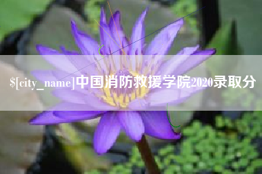 玉溪中国消防救援学院2020录取分
