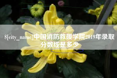 玉溪中国消防救援学院2019年录取分数线是多少