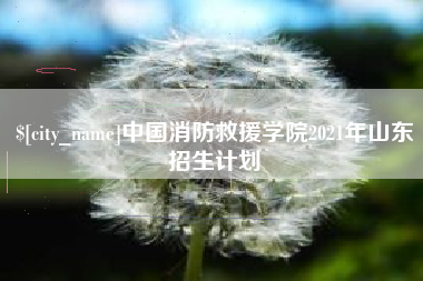 玉溪中国消防救援学院2021年山东招生计划
