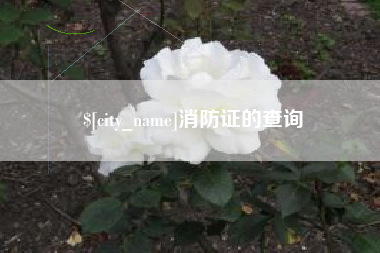 玉溪消防证的查询