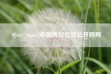 玉溪中国执行信息公开网网