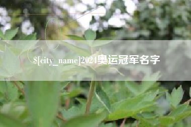 玉溪2024奥运冠军名字