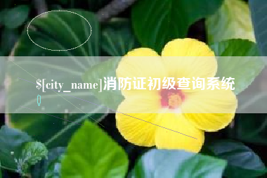 玉溪消防证初级查询系统