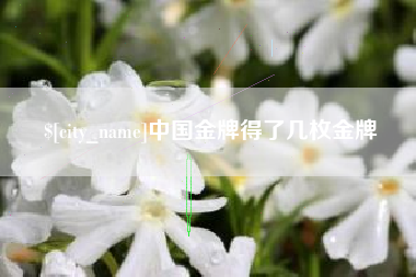 玉溪中国金牌得了几枚金牌