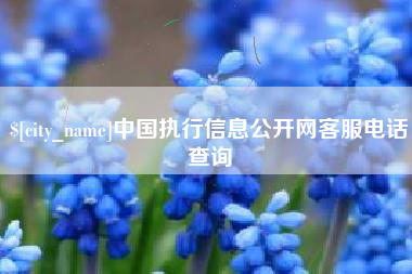 玉溪中国执行信息公开网客服电话查询