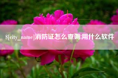 玉溪消防证怎么查询,用什么软件