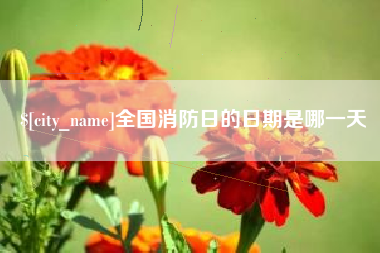 玉溪全国消防日的日期是哪一天