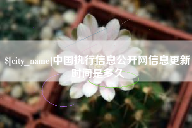 玉溪中国执行信息公开网信息更新时间是多久
